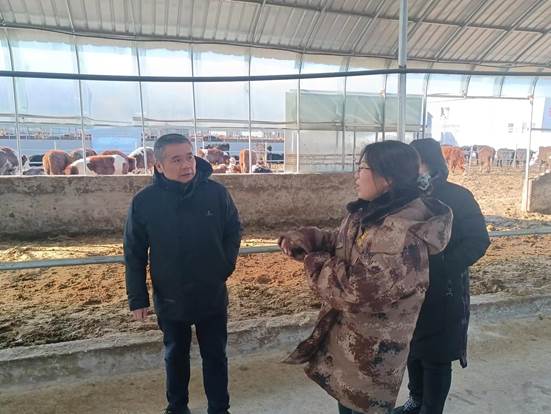 55b3347eb14288c6c026bdf4a5abd8e