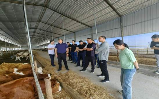 4fbf9fefb8764283e3d3c53806bca68