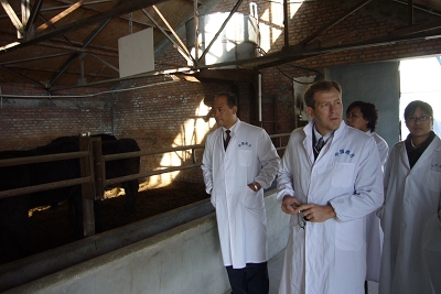 图为参观皓月肉牛饲养基地