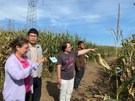 c9e7a7b7c57f17333278e749e7b32a2