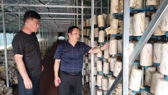 5c1ecd43c51d7eafadf14fdb83e59cd