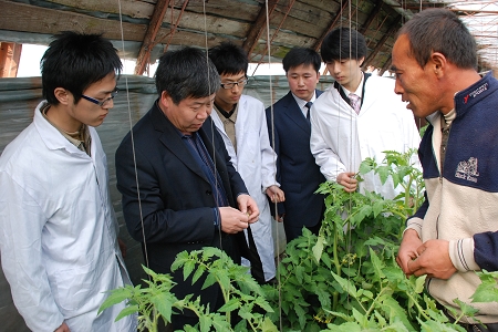 学习实践团深入农户开展技术指导