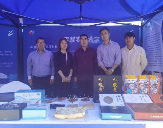 09d030bae7765f7df728dfa8acd6676