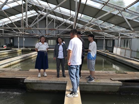 0111ab6ebbb3d625be4f72e887ec5b5