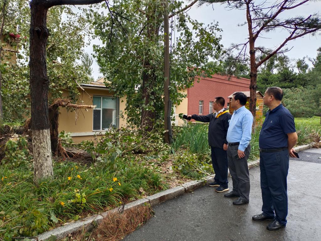 学校积极应对强降雨极端天气 全力做好校园恢复工作